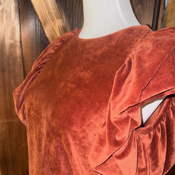 THML Rich Brown Velvet Puff Sleeve Blouse - Picture 4 of 4